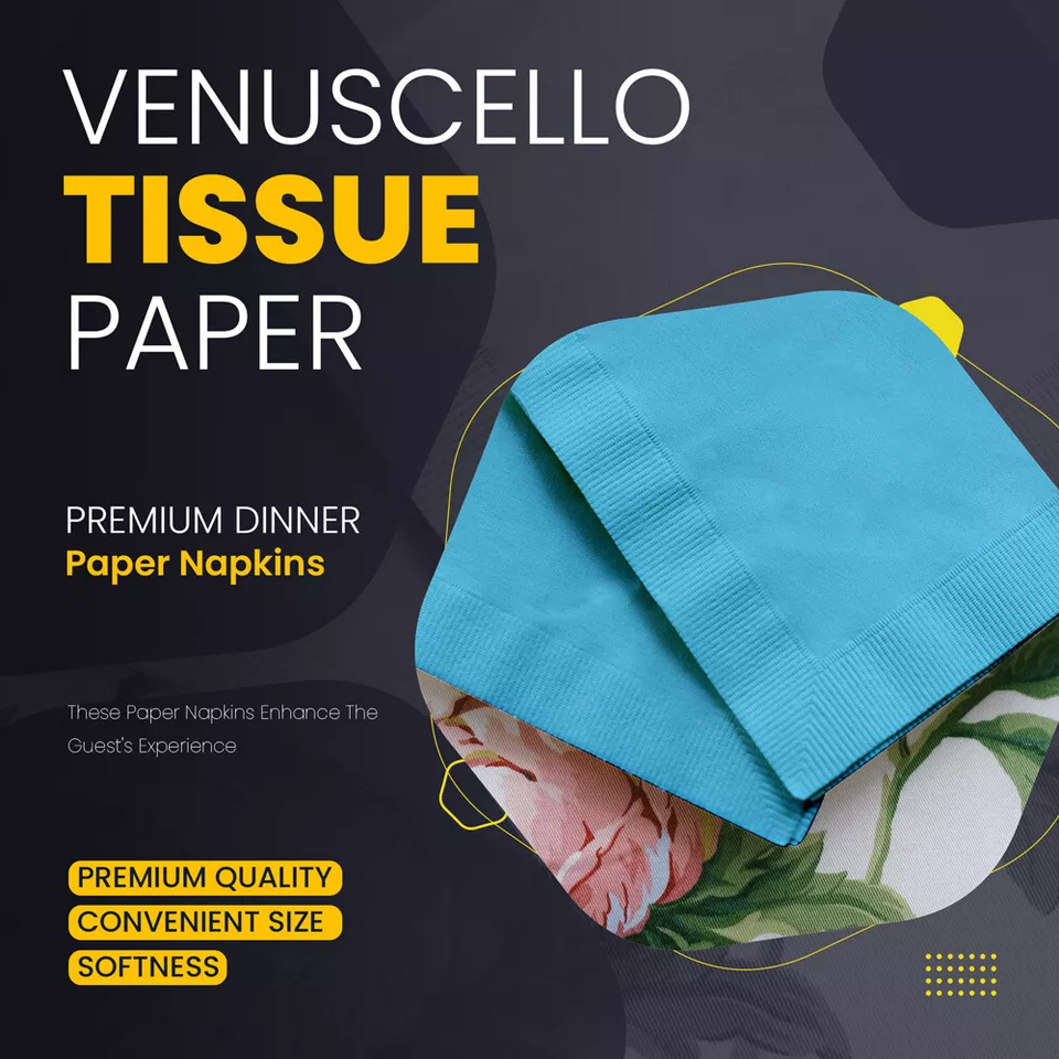 Swantex Paper Napkin 33cm x 33cm 2Ply Serviettes Tissue for Catering Parties