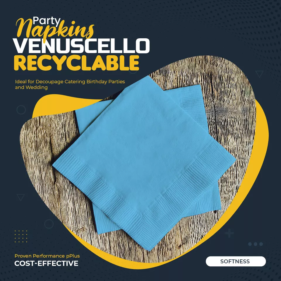 Swantex Paper Napkin 33cm x 33cm 2Ply Serviettes Tissue for Catering Parties