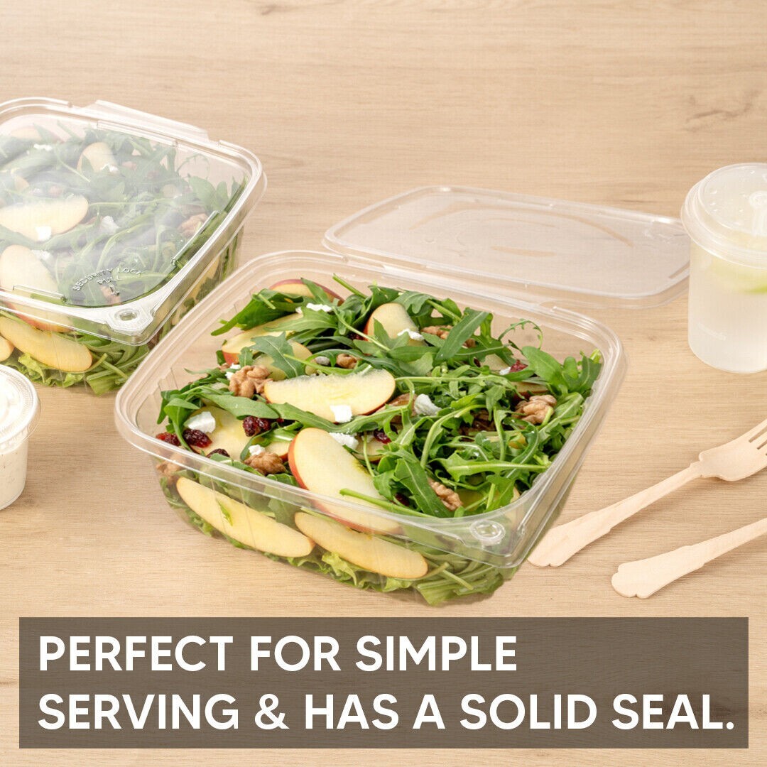 100 x Hinged lid Salad Container 250cc Clear Plastic Food Takeaway Storage