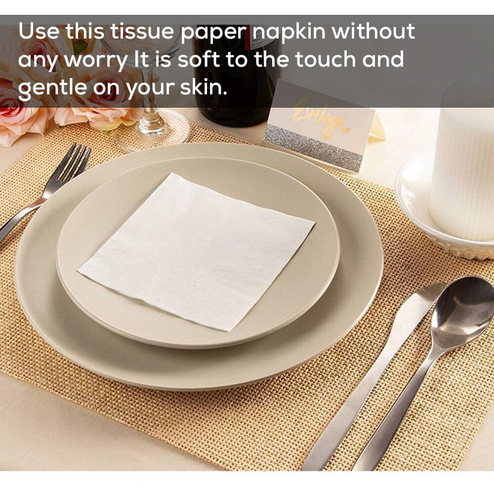 Disposable Paper Napkin 24cm x 24cm 2ply Serviettes Tissue for Catering Wedding