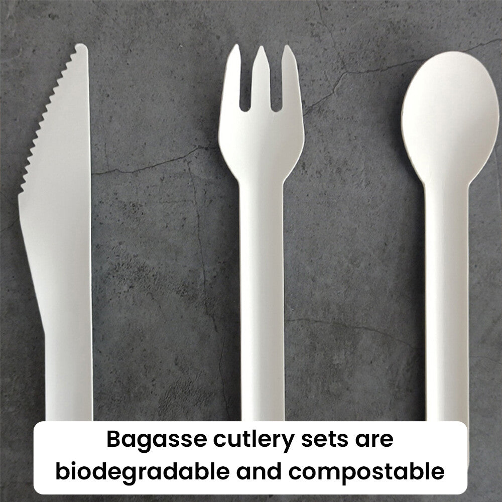 White Biodegradable Bagasse Cutlery Set Lightweight Spoons Forks Knives Set