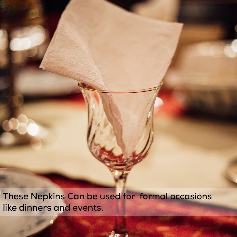 Cocktail Paper Napkins Disposable Serviettes Tissue Paper 24cm x 24cm 2ply