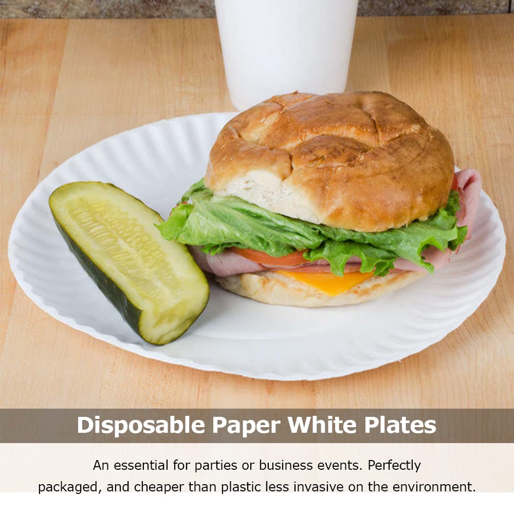 Venuscello® 100 x Paper Plates 15 cm White Disposable Bagasse Dishes for Catering Birthday Party Buffet