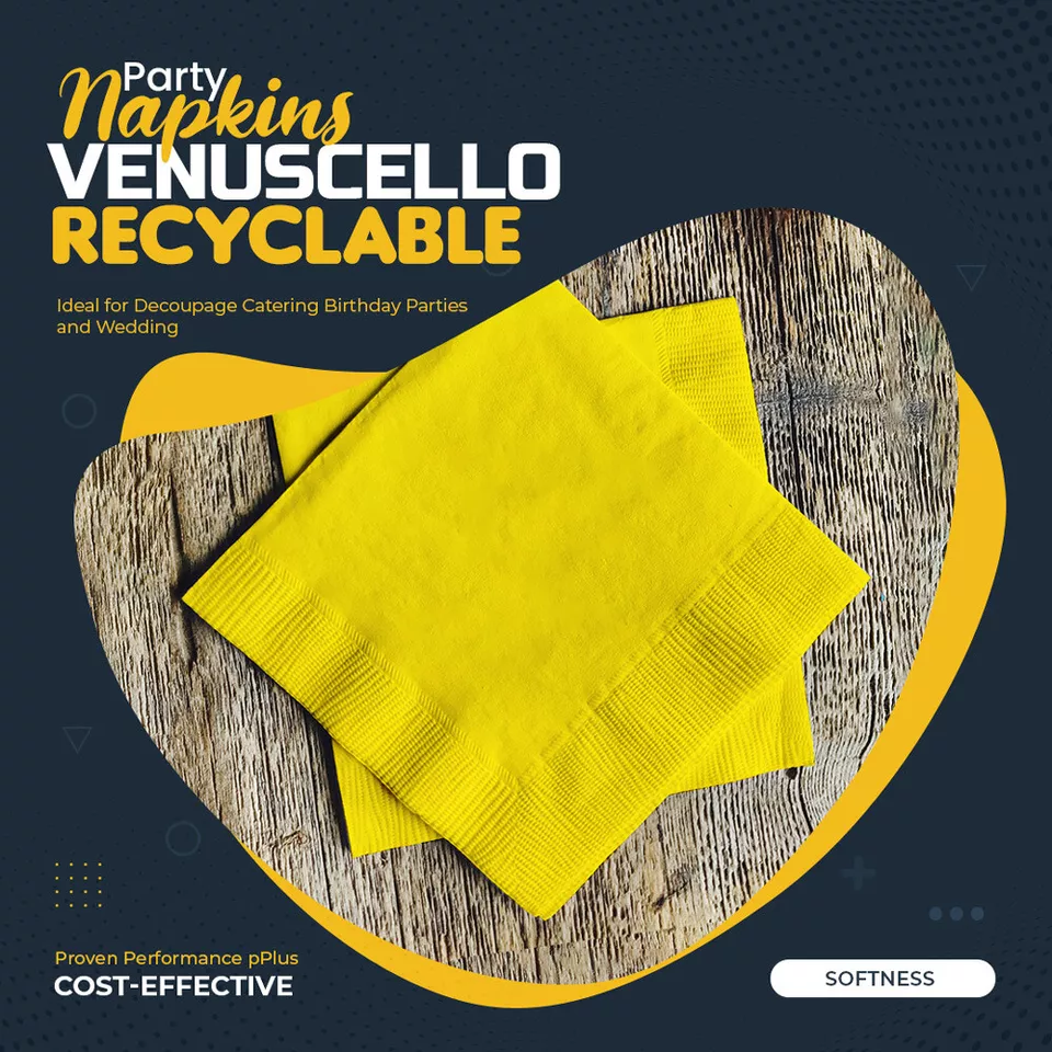 Swantex Paper Napkin 33cm x 33cm 2Ply Serviettes Tissue for Catering Parties
