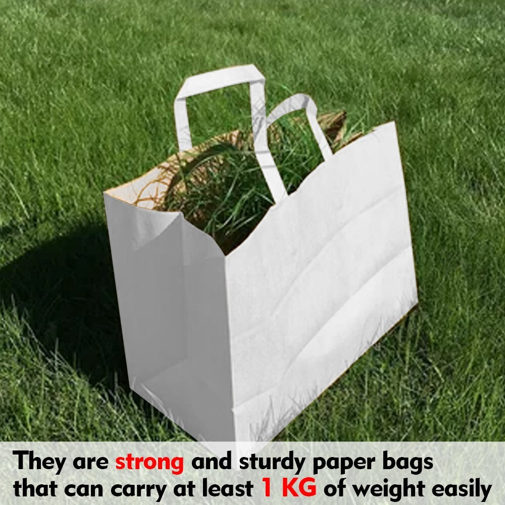 1000 x Paper Carrier Bags with Flat Handle 10"x12"x5.3" White Kraft Shopping Bag