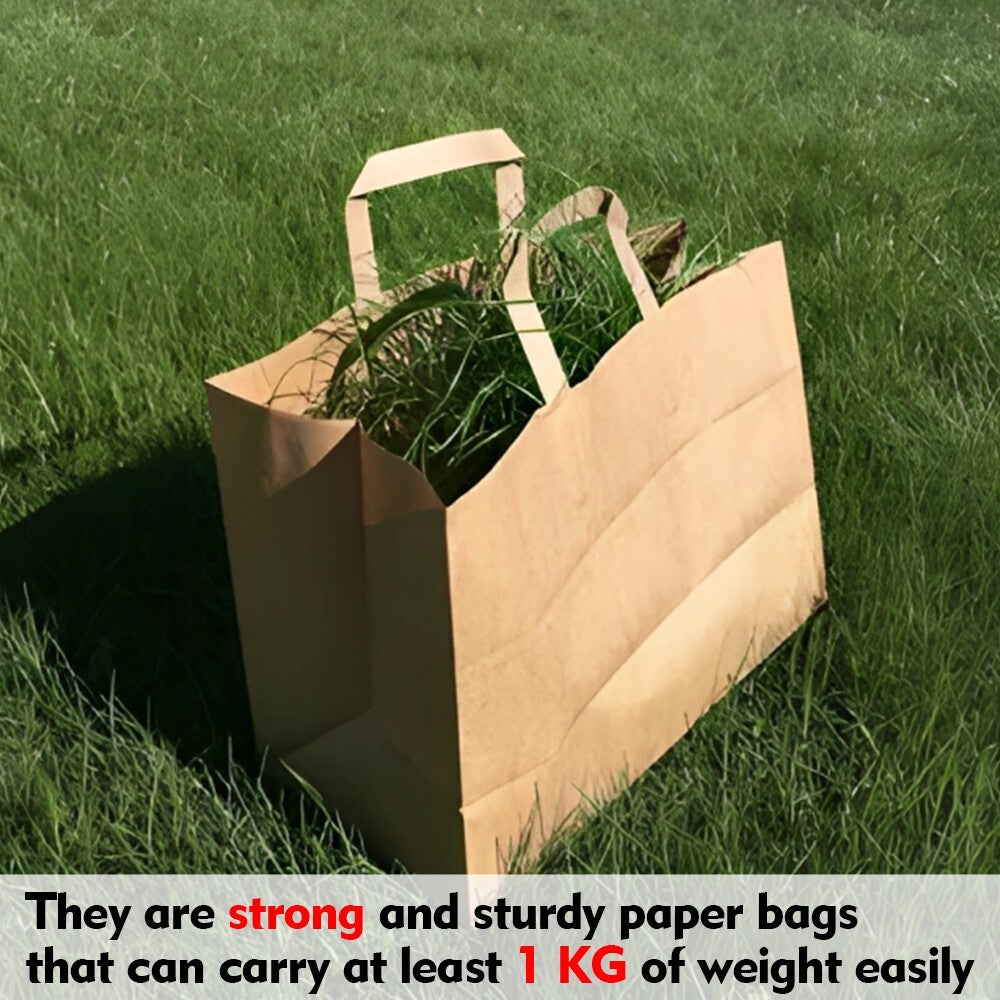 100 x Paper Carrier Bags with Flat Handle 10"x12"x5.3" Brown Kraft Shopping Bag