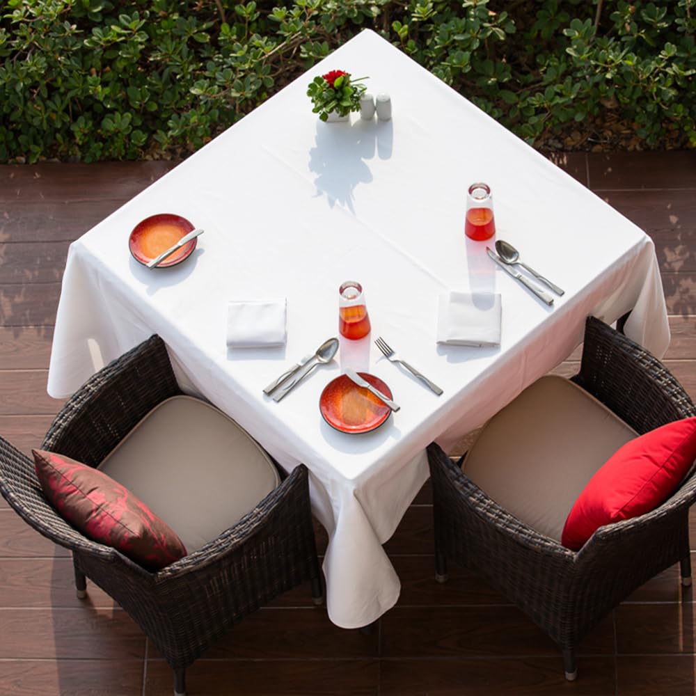 Venuscello® Biodegradable Disposable Paper White Plates – Party and Wedding Plates for Hot and Cold Foods Microwave