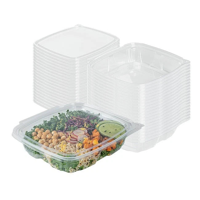 Hinged Lid Plastic Salad Container for Food Storage Takeaway 10cm x 12cm x 3cm