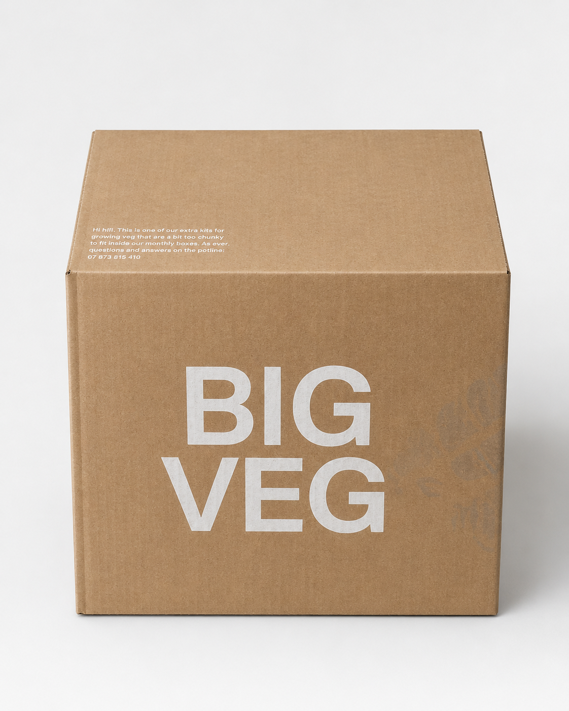 Big Veg Printed - Cardboard Boxes 12.01 x 10 x 10 Inch