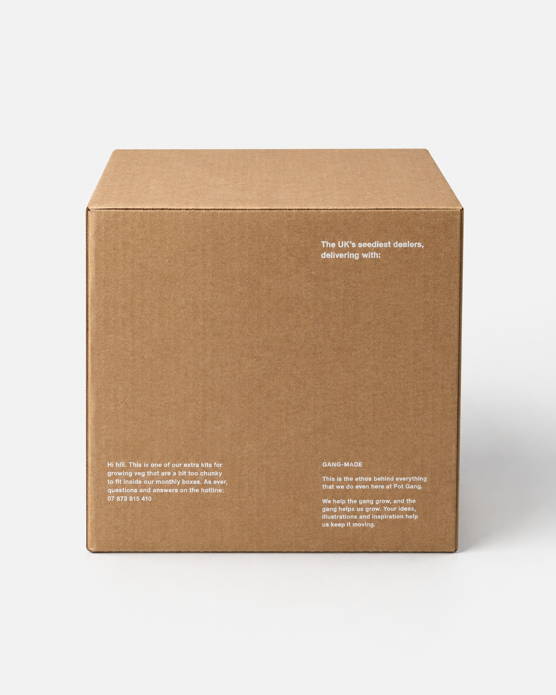 Big Veg Printed - Cardboard Boxes 12.01 x 10 x 10 Inch