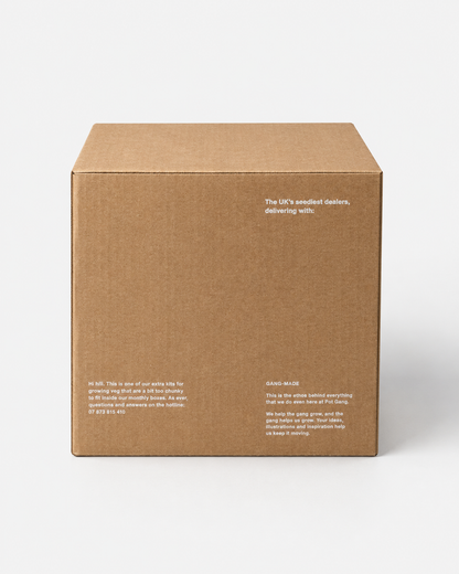 Big Veg Printed - Cardboard Boxes 12.01 x 10 x 10 Inch