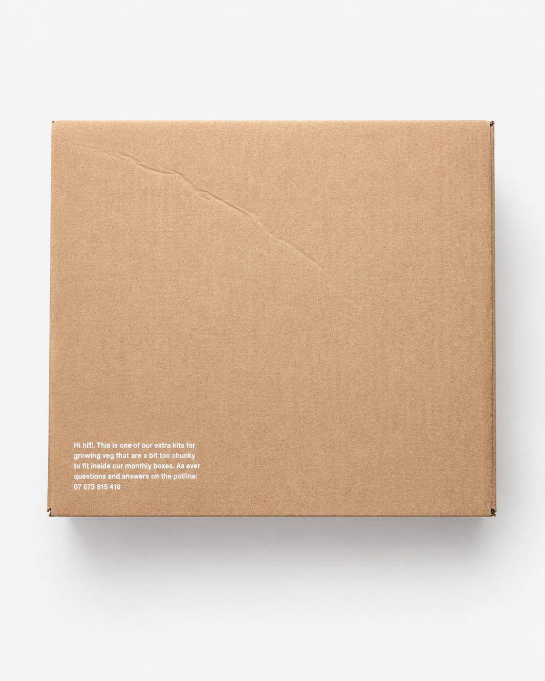 Big Veg Printed - Cardboard Boxes 12.01 x 10 x 10 Inch