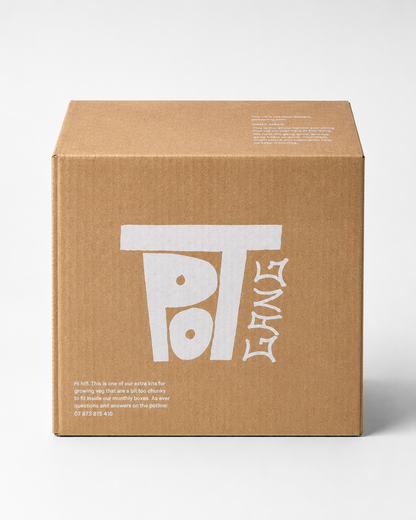 Big Veg Printed - Cardboard Boxes 12.01 x 10 x 10 Inch